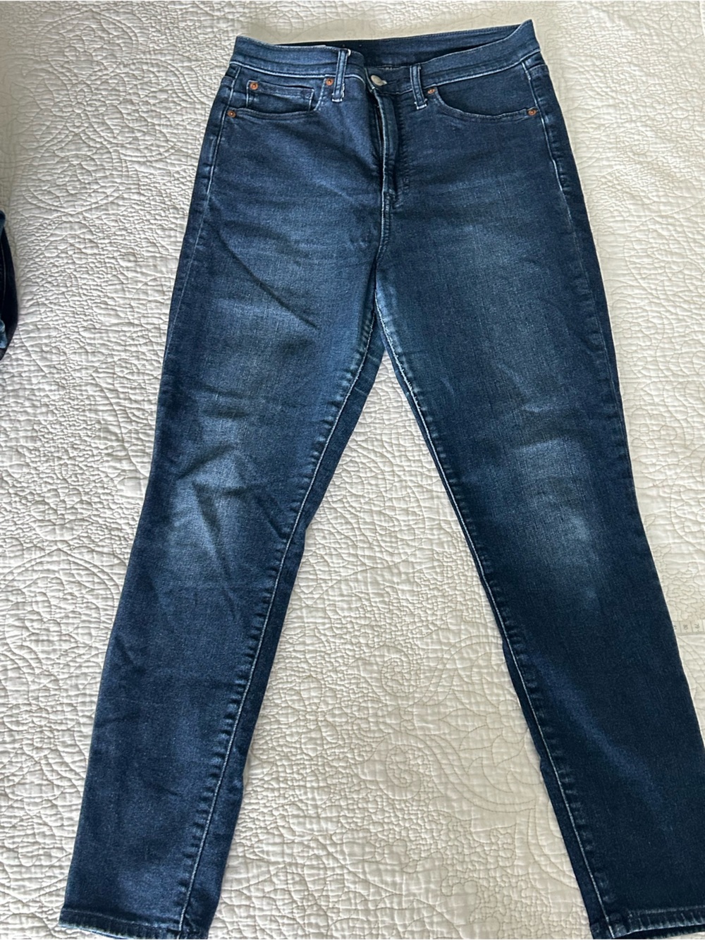 GAP Women's Indigo Skinny Jeans